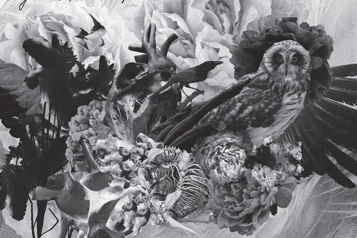 Mujuice - Metamorphosis (2014) /  Modern Classical, Ambient, Electronic, IDM Mujuice - Metamorphosis (2014) /  Modern Classical, Ambient, Electronic, IDM