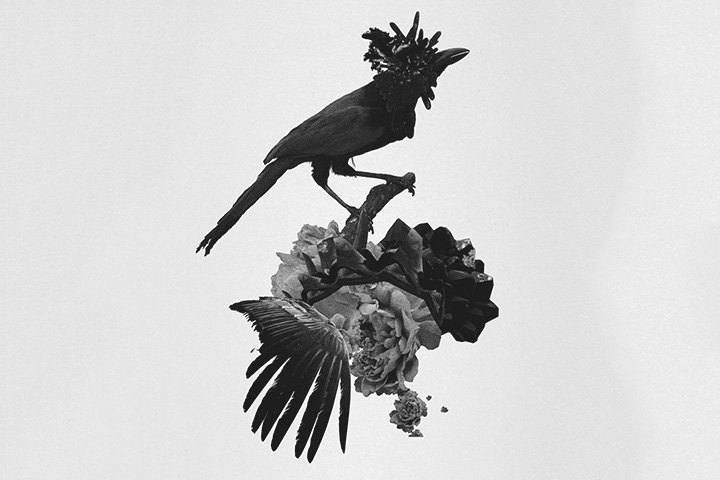 Mujuice - Metamorphosis (2014) /  Modern Classical, Ambient, Electronic, IDM