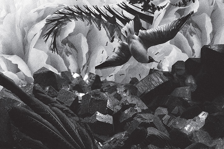 Mujuice - Metamorphosis (2014) /  Modern Classical, Ambient, Electronic, IDM