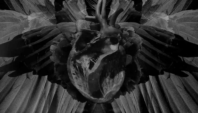 Mujuice - Metamorphosis (2014) /  Modern Classical, Ambient, Electronic, IDM Mujuice - Metamorphosis (2014) /  Modern Classical, Ambient, Electronic, IDM