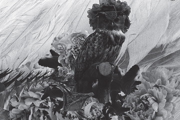 Mujuice - Metamorphosis (2014) /  Modern Classical, Ambient, Electronic, IDM Mujuice - Metamorphosis (2014) /  Modern Classical, Ambient, Electronic, IDM