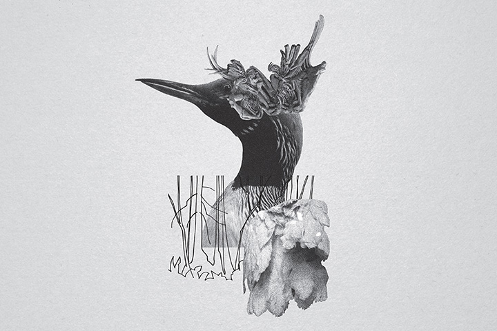 Mujuice - Metamorphosis (2014) /  Modern Classical, Ambient, Electronic, IDM