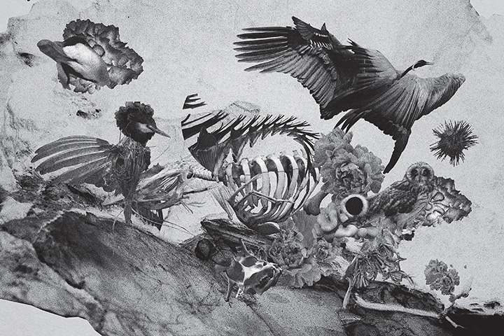 Mujuice - Metamorphosis (2014) /  Modern Classical, Ambient, Electronic, IDM