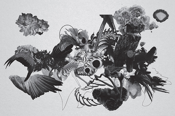 Mujuice - Metamorphosis (2014) /  Modern Classical, Ambient, Electronic, IDM