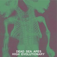 Dead Sea Apes - High Evolutionary (2014) / Psychedelic Rock, Desert Rock, Post Rock, UK
