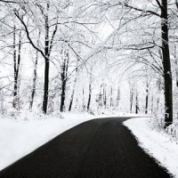 frankpapasample - Winter (2014) leftfield, melancholy frankpapasample - Winter (2014) leftfield, melancholy