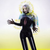 Bj&#246;rk - Vulnicura (2015) / Electronic, Experimental, Iceland