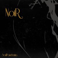 SoulPandemia - Noir (2015) / beats, boom bap, instrumental hip-hop, France