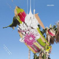 Ogris Debris - Constant Spring (2016) / house, disco-house, electronic, tech-house, deep-house