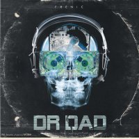 Frenic - Dr.DAD (2013) / funky hop, downbeat, instrumental, trip-hop