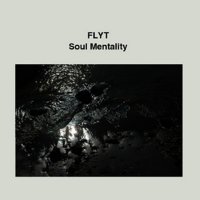 Flyt - Soul Mentality (2008) / chillout, downtempo, lounge, lo-fi, jazz, blues, funk-soul