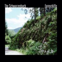 The Schwarzenbach - Farnschiffe (2012) и Nicht Sterben. Aufpassen (2015) / avant pop, spoken word