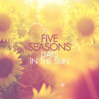 Five Seasons - Days In The Sun (2016) / Lounge, Downtempo