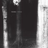 Brambles - Charcoal (2012) / ambient, modern classical