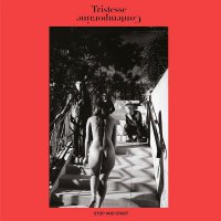 Tristesse Contemporaine - Stop And Start (2017) / New Wave, Alternative, Krautrock, Minimal Electro, Shoegaze, Synth, France
