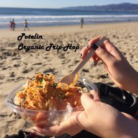 Potelin - Organic Trip-Hop (2017) / trip-hop, downtempo, chill, beats, jazz