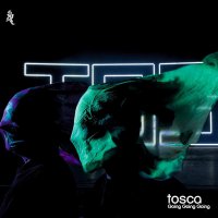 Tosca - Going Going Going (2017) / Electronic, Downtempo, Trip-Hop