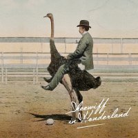 Skeewiff - Skeewiff In Wonderland (2017) / nu jazz, electronic, breakbeat, symphonic, cinematic