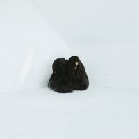 Chelsea Wolfe - Hiss Spun (2017) / Gothic, Darkwave, Trip-Hop, Ethereal, Dark Pop, Dark Folk, Drone Metal, US