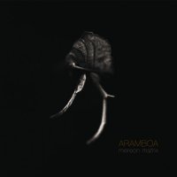 Aramboa - Mereon Matrix (2017) / downbeat, trip-hop, bass, idm, Austria