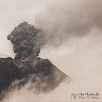 The Flashbulb - Piety of Ashes (2017) / downtempo, electronic, neoclassical, idm, glitch, bass, instrumental, ambient