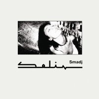 Smadj (feat. Erik Truffaz, Talvin Singh, Ibrahim Maalouf) - Selin (2009) / ethnic jazz, trip-hop, Tunisia/France