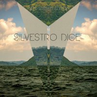 Silvestro Dice - V Remastered (2017) / electronic, absract beats, trip-hop, France